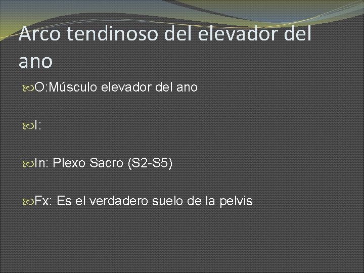 Arco tendinoso del elevador del ano O: Músculo elevador del ano I: In: Plexo