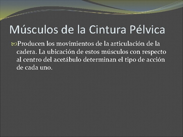 Músculos de la Cintura Pélvica Producen los movimientos de la articulación de la cadera.