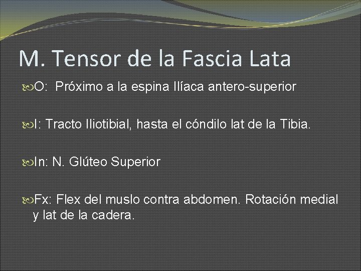 M. Tensor de la Fascia Lata O: Próximo a la espina Ilíaca antero-superior I: