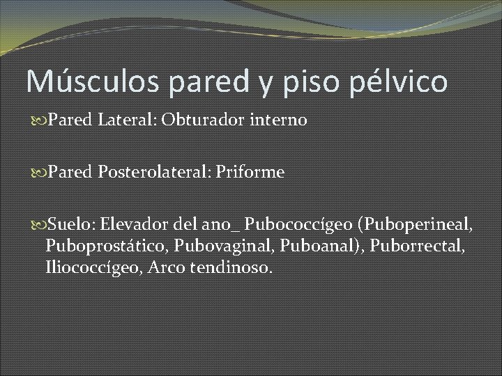 Músculos pared y piso pélvico Pared Lateral: Obturador interno Pared Posterolateral: Priforme Suelo: Elevador