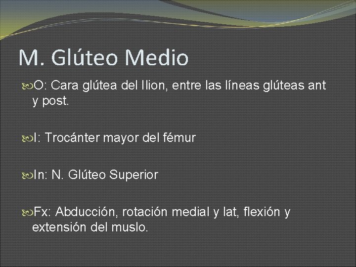 M. Glúteo Medio O: Cara glútea del Ilion, entre las líneas glúteas ant y
