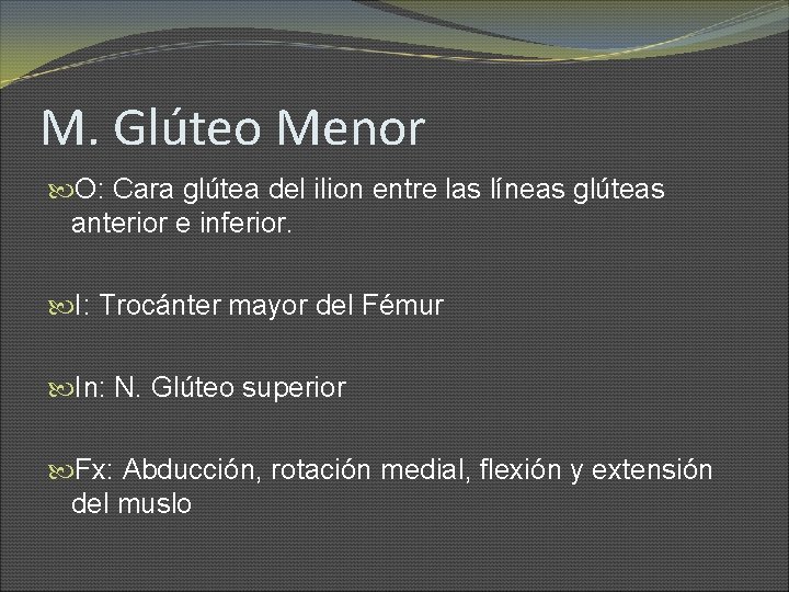 M. Glúteo Menor O: Cara glútea del ilion entre las líneas glúteas anterior e