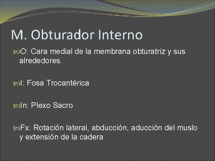 M. Obturador Interno O: Cara medial de la membrana obturatriz y sus alrededores I: