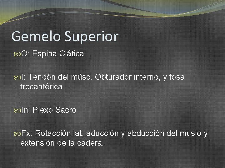 Gemelo Superior O: Espina Ciática I: Tendón del músc. Obturador interno, y fosa trocantérica