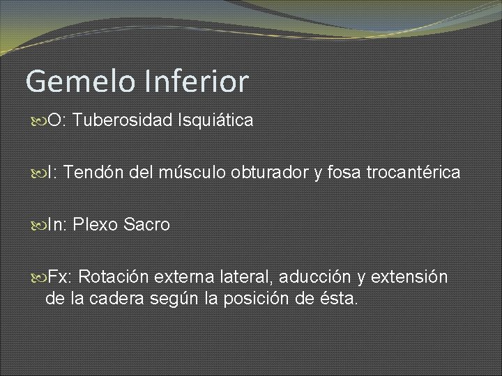 Gemelo Inferior O: Tuberosidad Isquiática I: Tendón del músculo obturador y fosa trocantérica In: