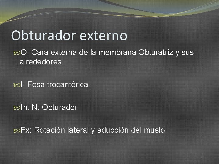 Obturador externo O: Cara externa de la membrana Obturatriz y sus alrededores I: Fosa