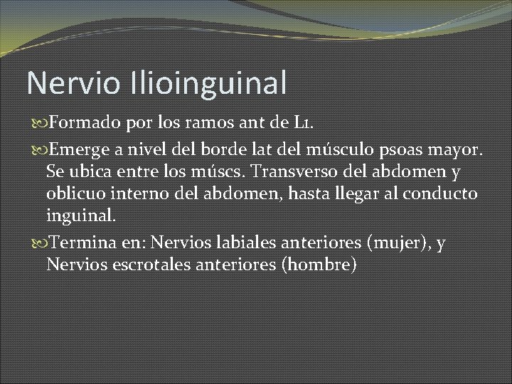 Nervio Ilioinguinal Formado por los ramos ant de L 1. Emerge a nivel del