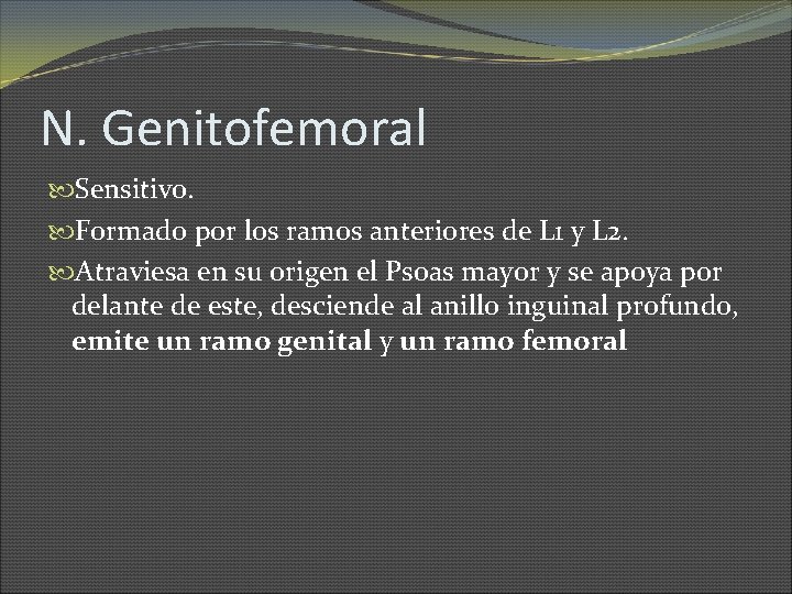 N. Genitofemoral Sensitivo. Formado por los ramos anteriores de L 1 y L 2.