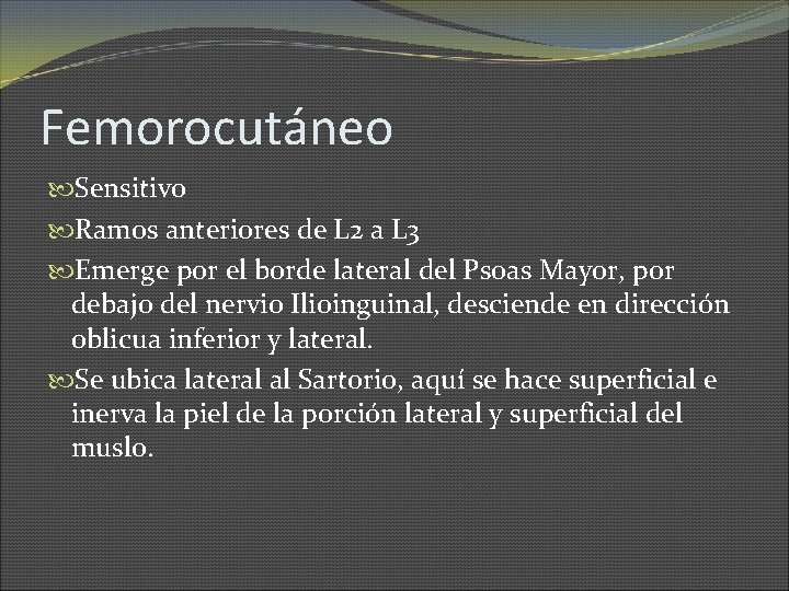 Femorocutáneo Sensitivo Ramos anteriores de L 2 a L 3 Emerge por el borde