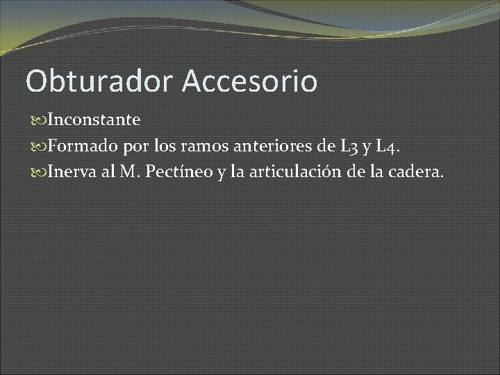 Obturador Accesorio Inconstante Formado por los ramos anteriores de L 3 y L 4.