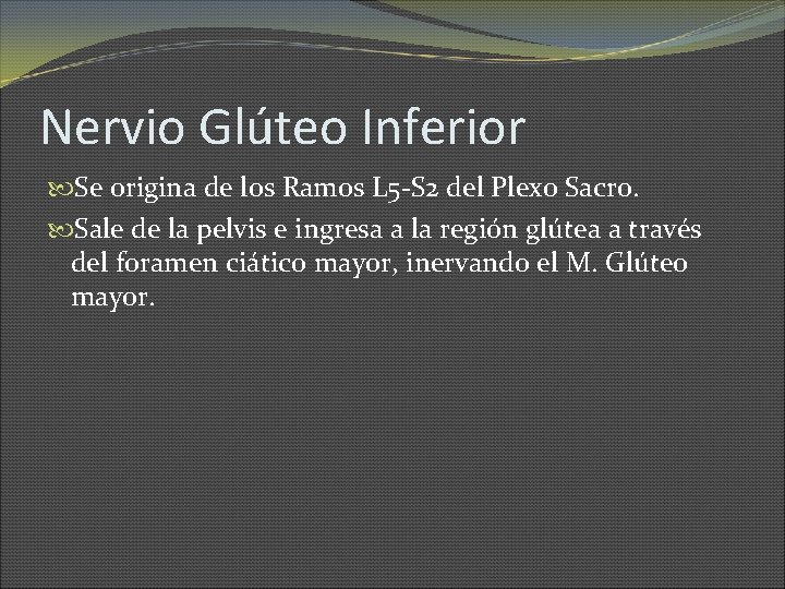 Nervio Glúteo Inferior Se origina de los Ramos L 5 -S 2 del Plexo
