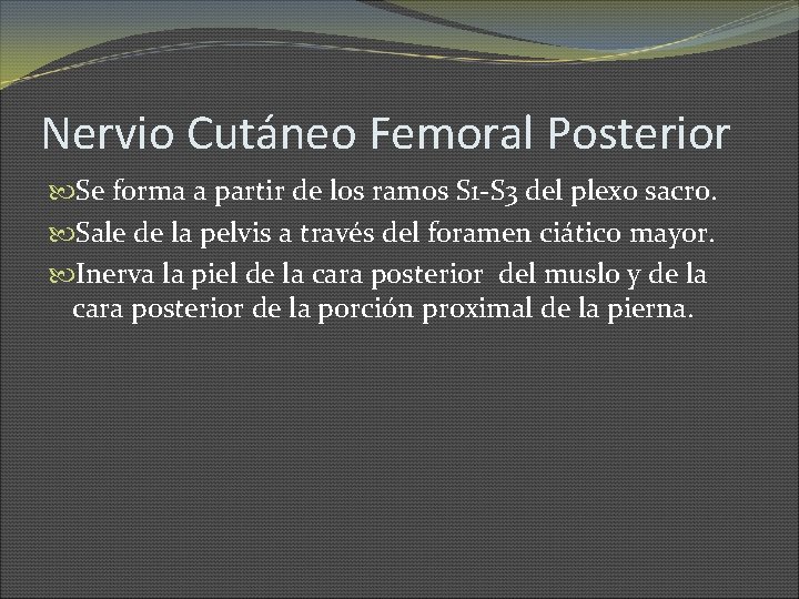 Nervio Cutáneo Femoral Posterior Se forma a partir de los ramos S 1 -S