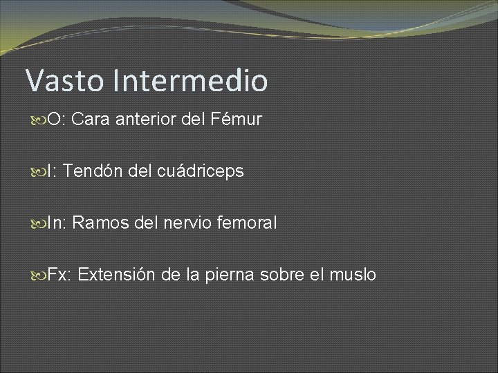 Vasto Intermedio O: Cara anterior del Fémur I: Tendón del cuádriceps In: Ramos del