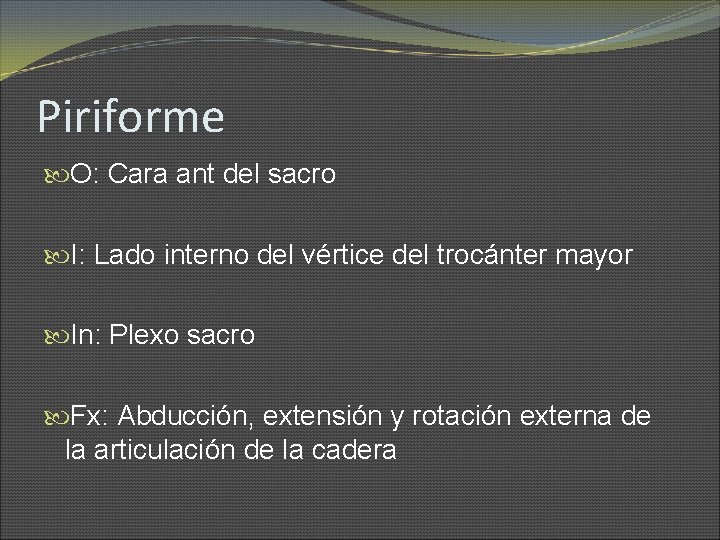 Piriforme O: Cara ant del sacro I: Lado interno del vértice del trocánter mayor