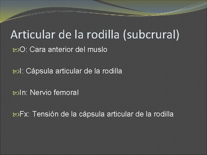 Articular de la rodilla (subcrural) O: Cara anterior del muslo I: Cápsula articular de