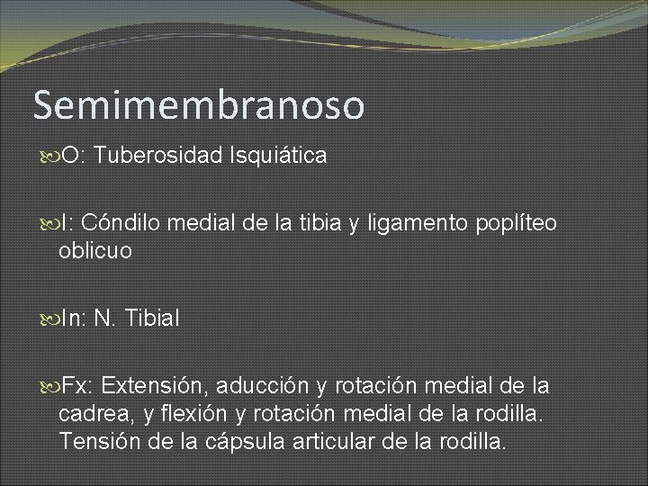 Semimembranoso O: Tuberosidad Isquiática I: Cóndilo medial de la tibia y ligamento poplíteo oblicuo