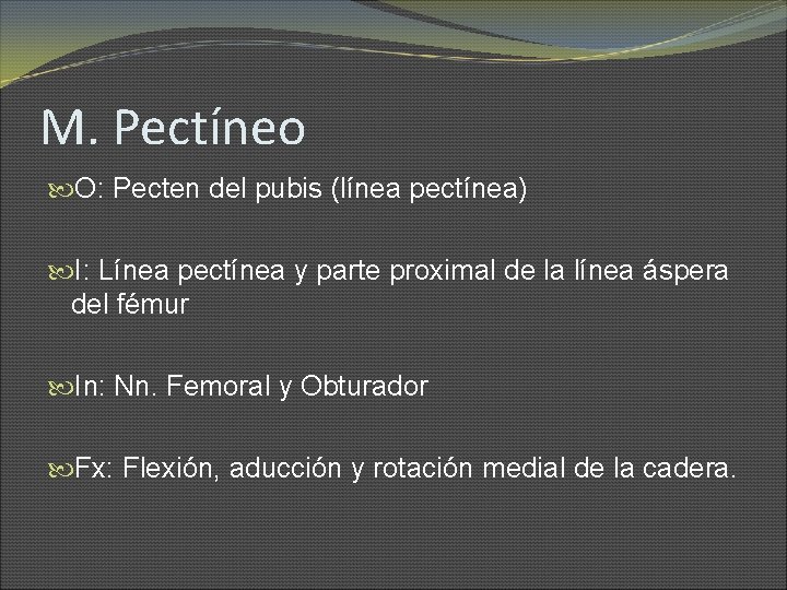 M. Pectíneo O: Pecten del pubis (línea pectínea) I: Línea pectínea y parte proximal