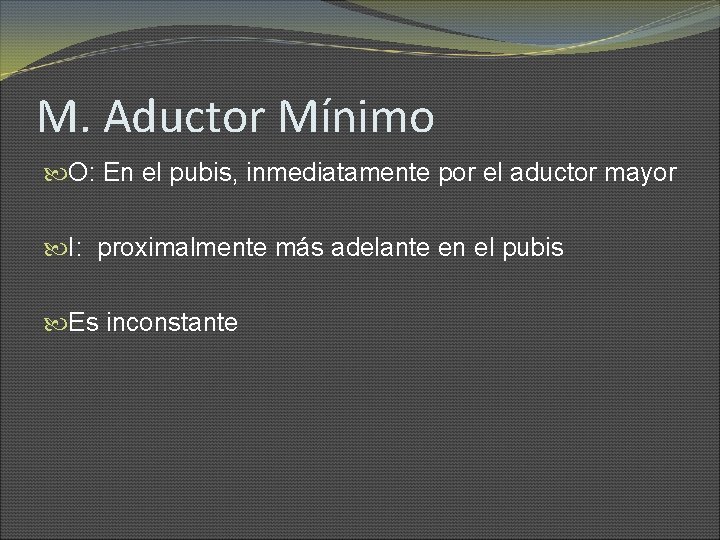 M. Aductor Mínimo O: En el pubis, inmediatamente por el aductor mayor I: proximalmente