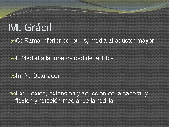 M. Grácil O: Rama inferior del pubis, media al aductor mayor I: Medial a