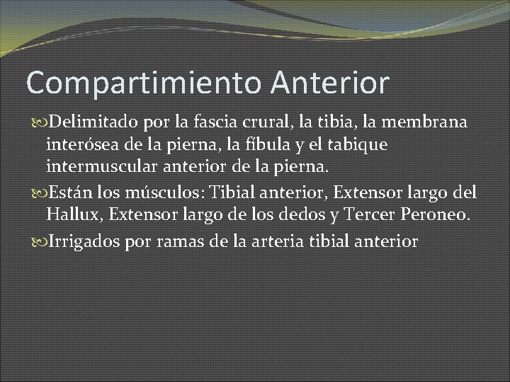 Compartimiento Anterior Delimitado por la fascia crural, la tibia, la membrana interósea de la