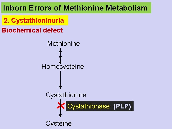 Inborn Errors of Methionine Metabolism 2. Cystathioninuria Biochemical defect Methionine Homocysteine Cystathionase (PLP) Cysteine