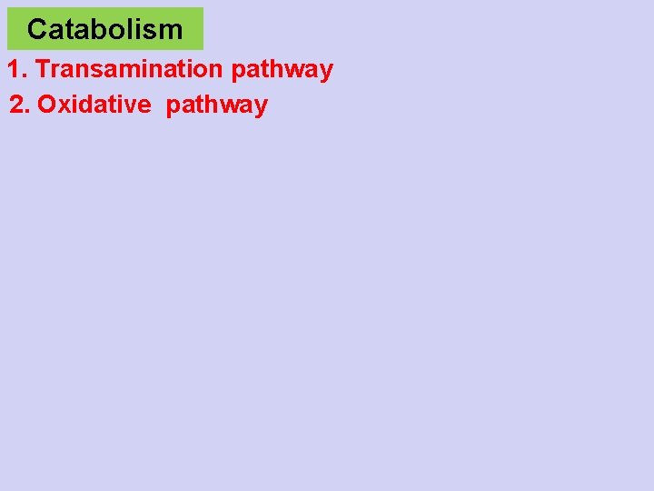 Catabolism 1. Transamination pathway 2. Oxidative pathway 
