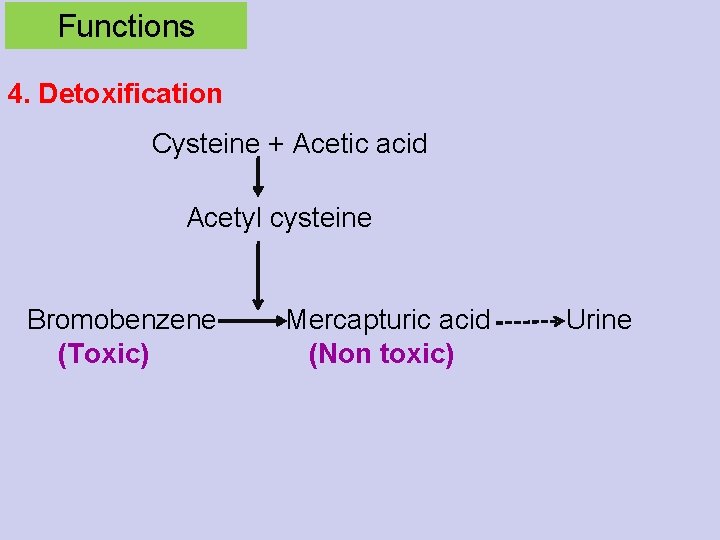 Functions 4. Detoxification Cysteine + Acetic acid Acetyl cysteine Bromobenzene (Toxic) Mercapturic acid (Non