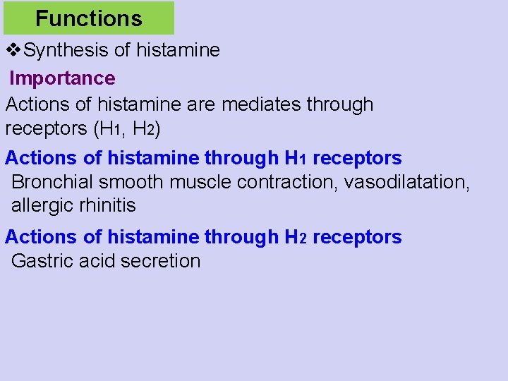 Functions v. Synthesis of histamine Importance Actions of histamine are mediates through receptors (H