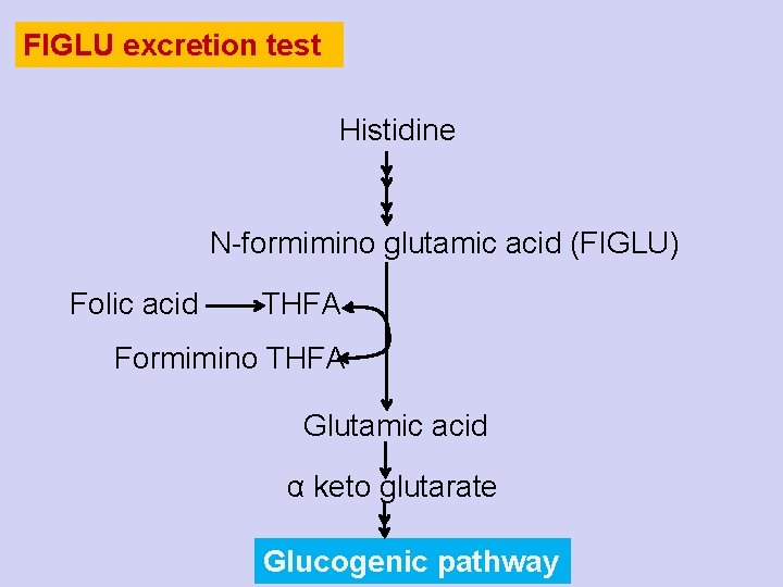 FIGLU excretion test Histidine N-formimino glutamic acid (FIGLU) Folic acid THFA Formimino THFA Glutamic