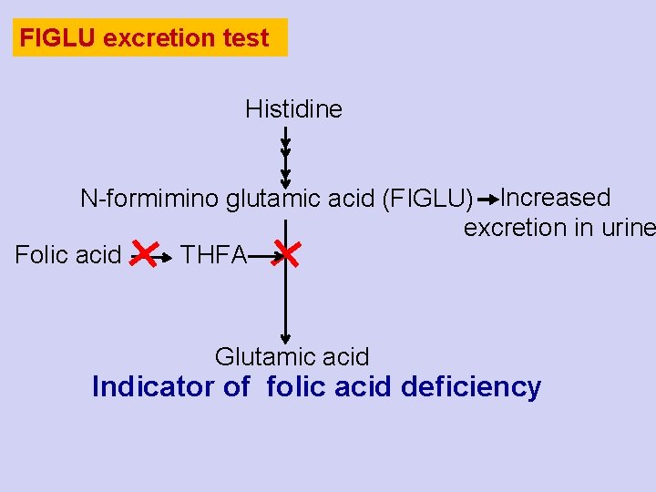 FIGLU excretion test Histidine N-formimino glutamic acid (FIGLU) Increased excretion in urine Folic acid