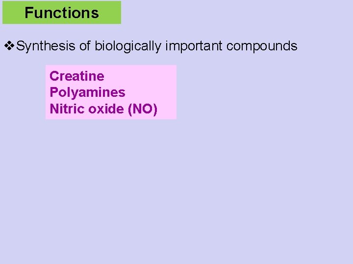 Functions v. Synthesis of biologically important compounds Creatine Polyamines Nitric oxide (NO) 