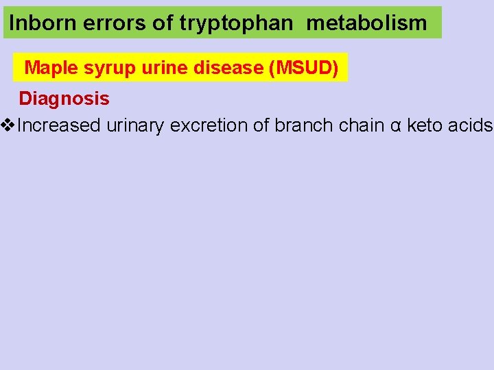 Inborn errors of tryptophan metabolism Maple syrup urine disease (MSUD) Diagnosis v. Increased urinary