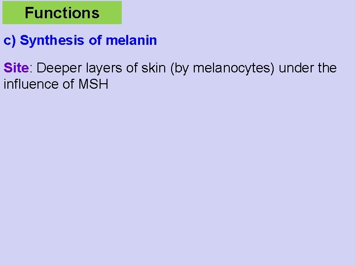 Functions c) Synthesis of melanin Site: Deeper layers of skin (by melanocytes) under the