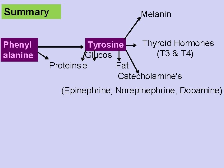 Summary Phenyl alanine Melanin Thyroid Hormones Tyrosine (T 3 & T 4) Glucos Fat