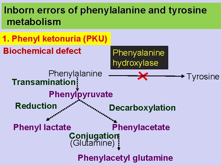 Inborn errors of phenylalanine and tyrosine metabolism 1. Phenyl ketonuria (PKU) Biochemical defect Phenyalanine