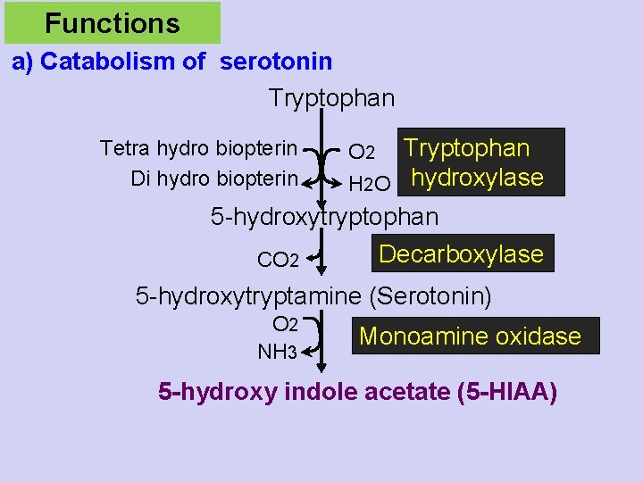 Functions a) Catabolism of serotonin Tryptophan Tetra hydro biopterin Di hydro biopterin O 2
