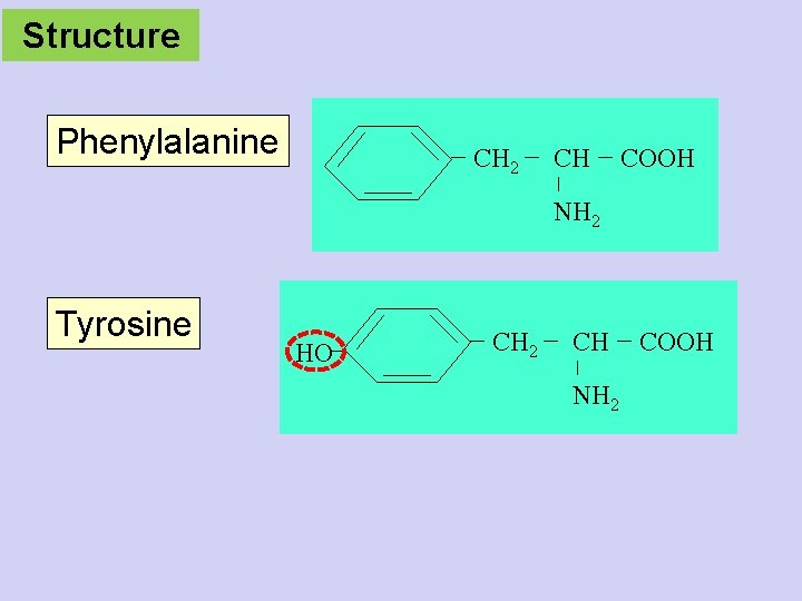 Structure Phenylalanine CH 2 CH COOH NH 2 Tyrosine HO CH 2 CH NH