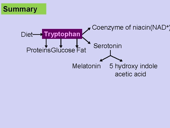 Summary Diet Tryptophan Proteins Glucose Fat Coenzyme of niacin(NAD+) Serotonin Melatonin 5 hydroxy indole