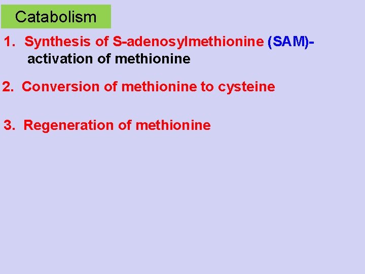 Catabolism 1. Synthesis of S-adenosylmethionine (SAM)- activation of methionine 2. Conversion of methionine to