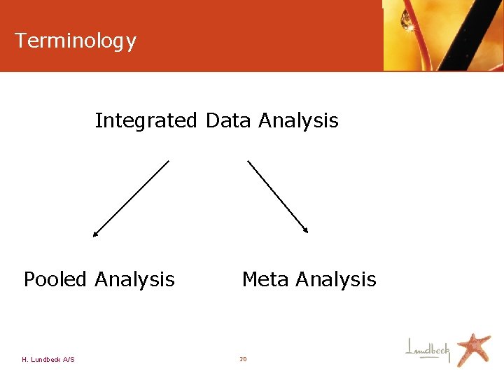 Terminology Integrated Data Analysis Pooled Analysis Meta Analysis H. Lundbeck A/S 20 