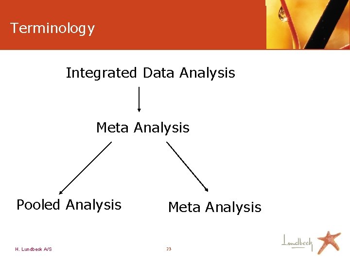 Terminology Integrated Data Analysis Meta Analysis Pooled Analysis H. Lundbeck A/S Meta Analysis 23