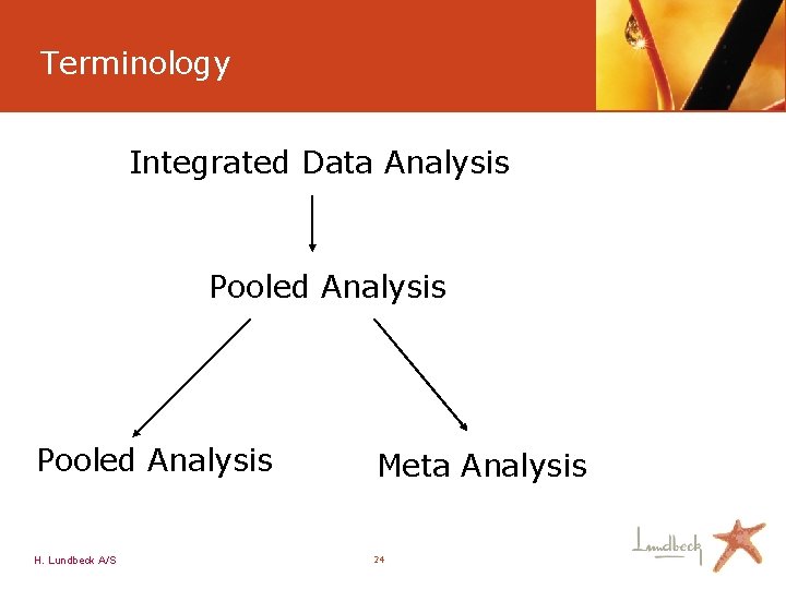 Terminology Integrated Data Analysis Pooled Analysis H. Lundbeck A/S Meta Analysis 24 
