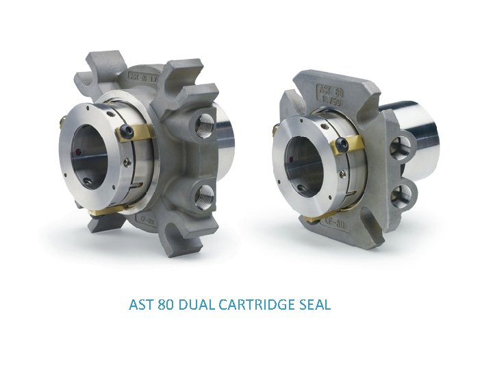 AST 80 DUAL CARTRIDGE SEAL 