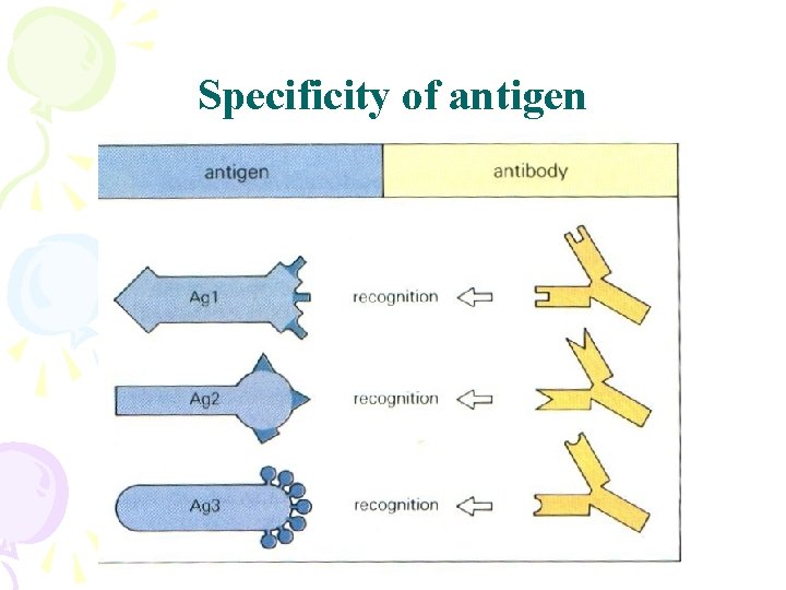 Specificity of antigen 