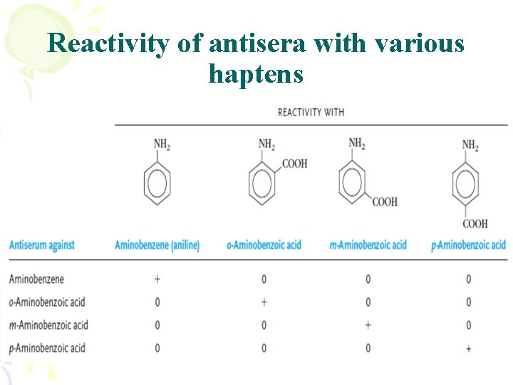 Reactivity of antisera with various haptens 