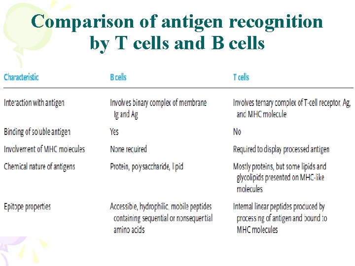Comparison of antigen recognition by T cells and B cells 