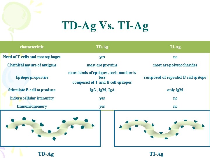 TD-Ag Vs. TI-Ag characteristic TD-Ag TI-Ag Need of T cells and macrophages yes no