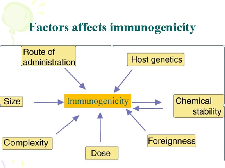 Factors affects immunogenicity 