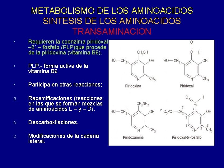 METABOLISMO DE LOS AMINOACIDOS SINTESIS DE LOS AMINOACIDOS TRANSAMINACION • Requieren la coenzima piridoxal