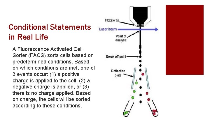 Conditional Statements in Real Life A Fluorescence Activated Cell Sorter (FACS) sorts cells based